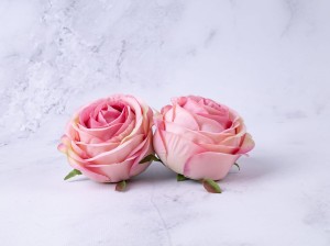 IMG_5633.jpg