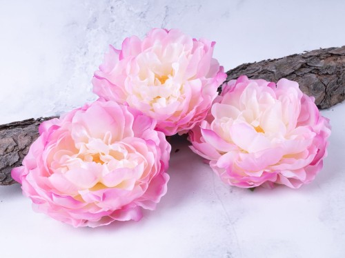 Peonia-Piwonia SN406 # Róż Cieniowany/Écru*1733 (12 szt)