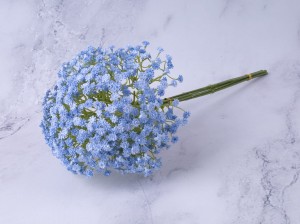 IMG_5788.jpg