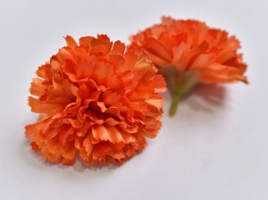 (914).JPG