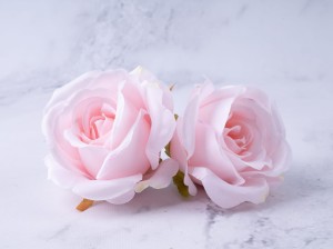 IMG_5825.jpg