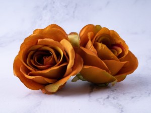 IMG_5832.jpg