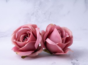 IMG_5841.jpg