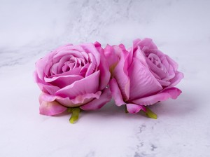 IMG_6010.jpg