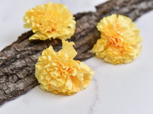 (923).JPG