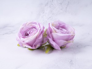 IMG_6000.jpg