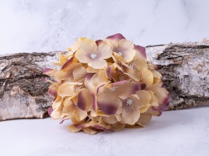 IMG_5689.jpg