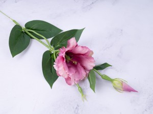 IMG_6061.jpg