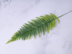 IMG_6246.jpg