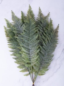 IMG_6248.jpg