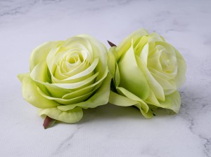 IMG_5870.jpg