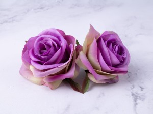 IMG_5881.jpg