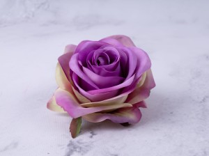 IMG_5893.jpg