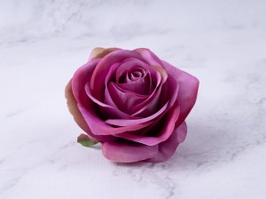 IMG_5895.jpg