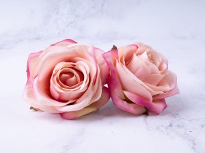 IMG_5855.jpg