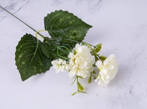 IMG_6627.jpg