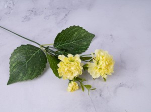 IMG_6625.jpg