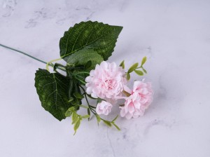 IMG_6615.jpg