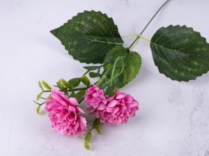 IMG_6623.jpg