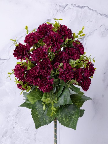 Santini Chryzantema/PIK # Burgund (12 szt)