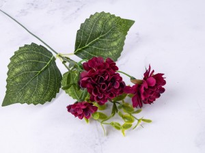 IMG_6618.jpg