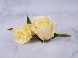 IMG_6801.jpg