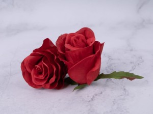 IMG_6812.jpg
