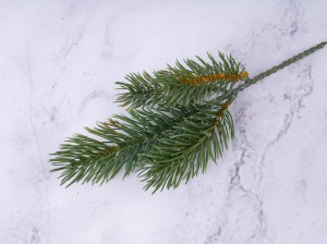 IMG_7105.jpg