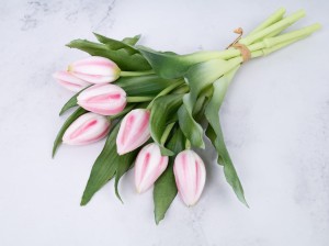 IMG_7500.jpg