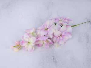 IMG_7634.jpg