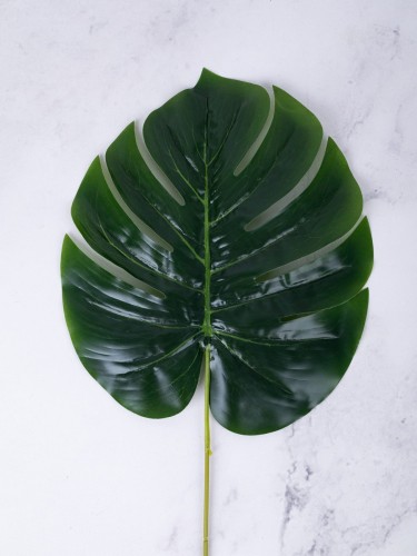 Liść Monstera R37 # Zieleń (12 szt)