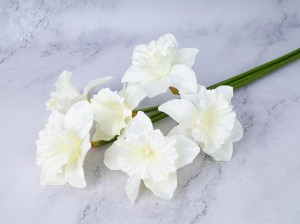 IMG_7717.jpg
