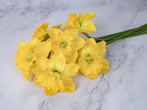 IMG_7722.jpg