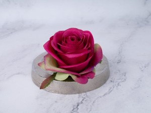 IMG_7858.jpg