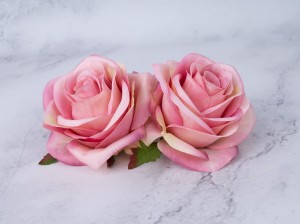 IMG_7847.jpg