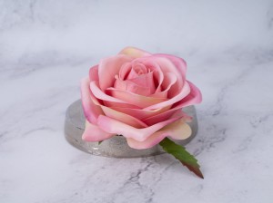 IMG_7861.jpg