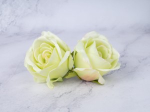 IMG_7908.jpg