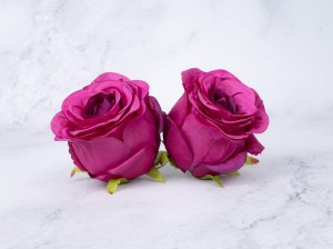 IMG_7927.jpg