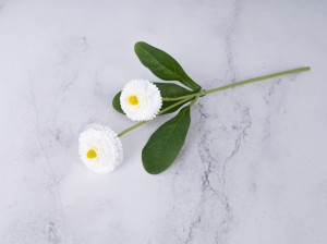 IMG_8030.jpg