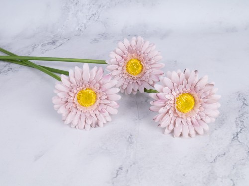 Gerbera Gałązka SG72 # Cappuccino/Pastelowe Fango (6 szt)