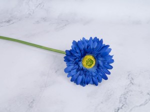IMG_8238.jpg