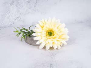 IMG_8281.jpg