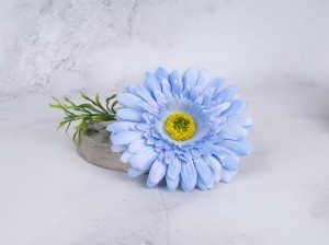 IMG_8268.jpg