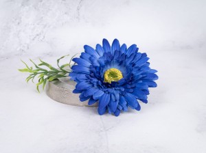 IMG_8282.jpg