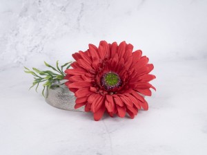 IMG_8278.jpg