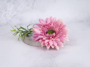 IMG_8280.jpg