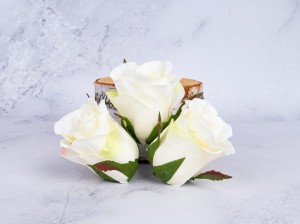 IMG_8354.jpg