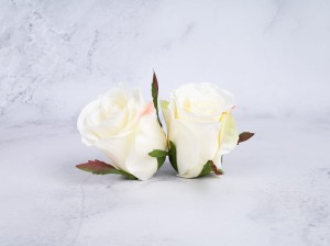 IMG_8384.jpg