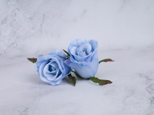 IMG_8374.jpg