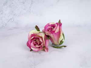 IMG_8377.jpg